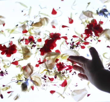 light-table-flower-activity.jpg